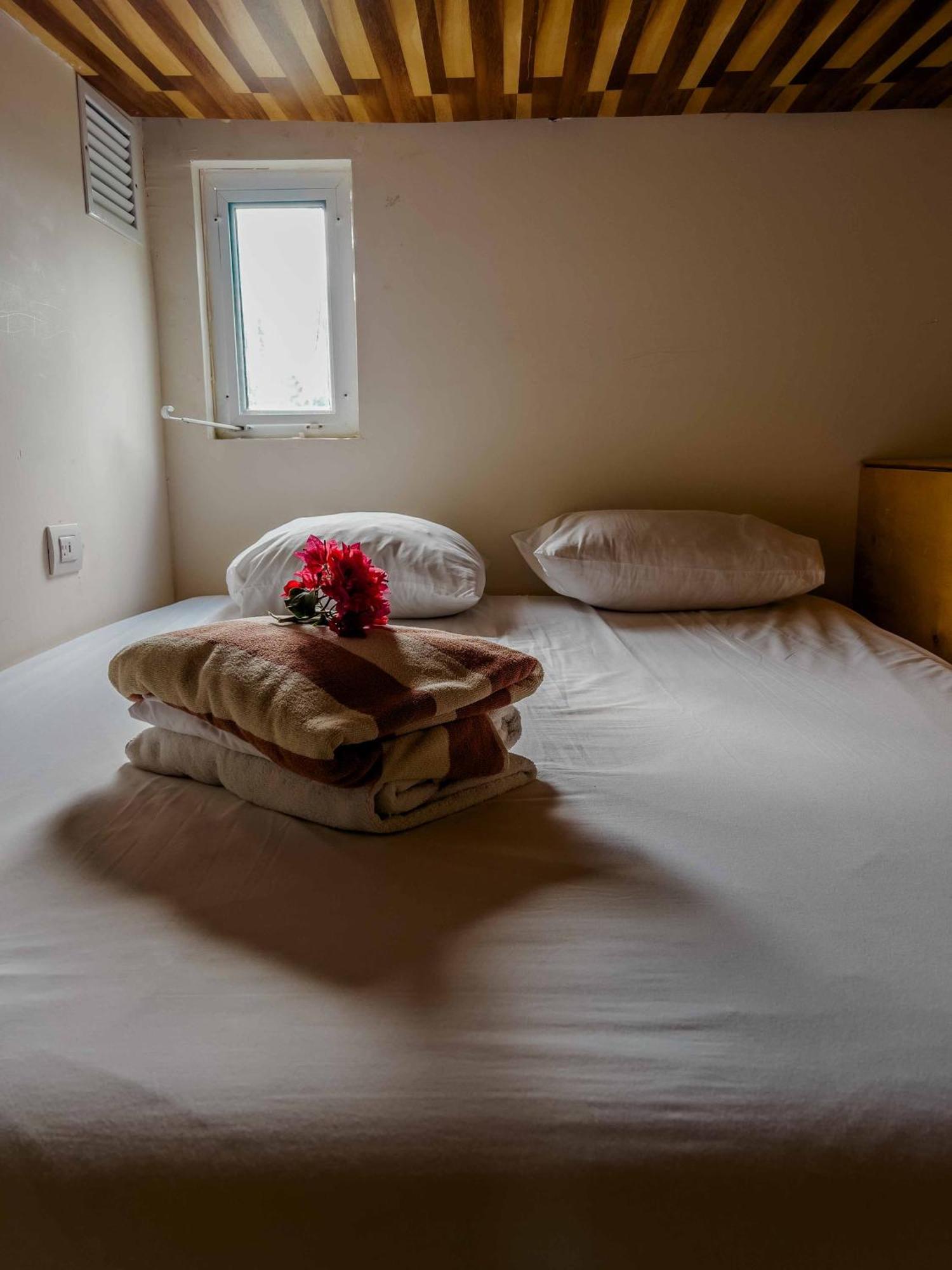 Oostel Smart Hostel - Tulum Pueblo (Adults Only) 외부 사진