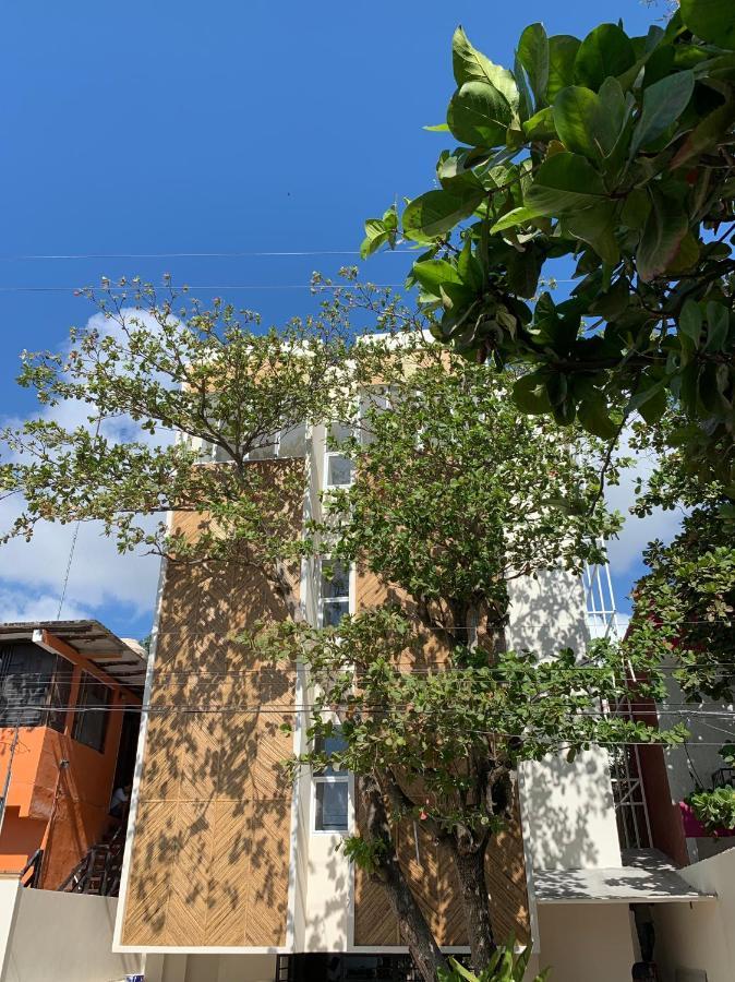 Oostel Smart Hostel - Tulum Pueblo (Adults Only) 외부 사진