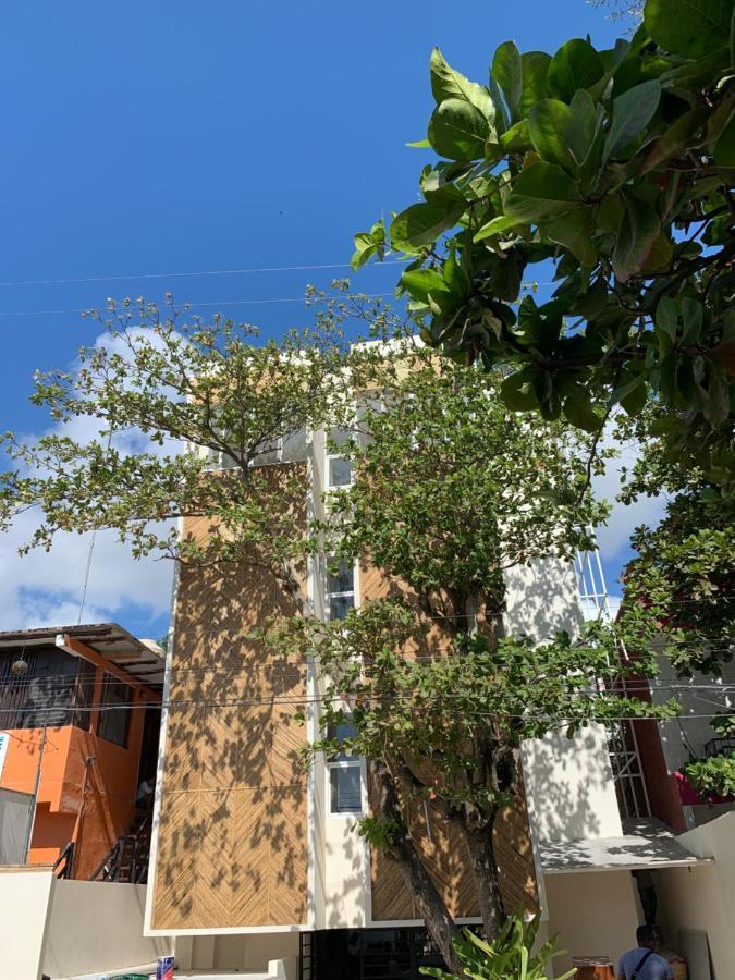 Oostel Smart Hostel - Tulum Pueblo (Adults Only) 외부 사진